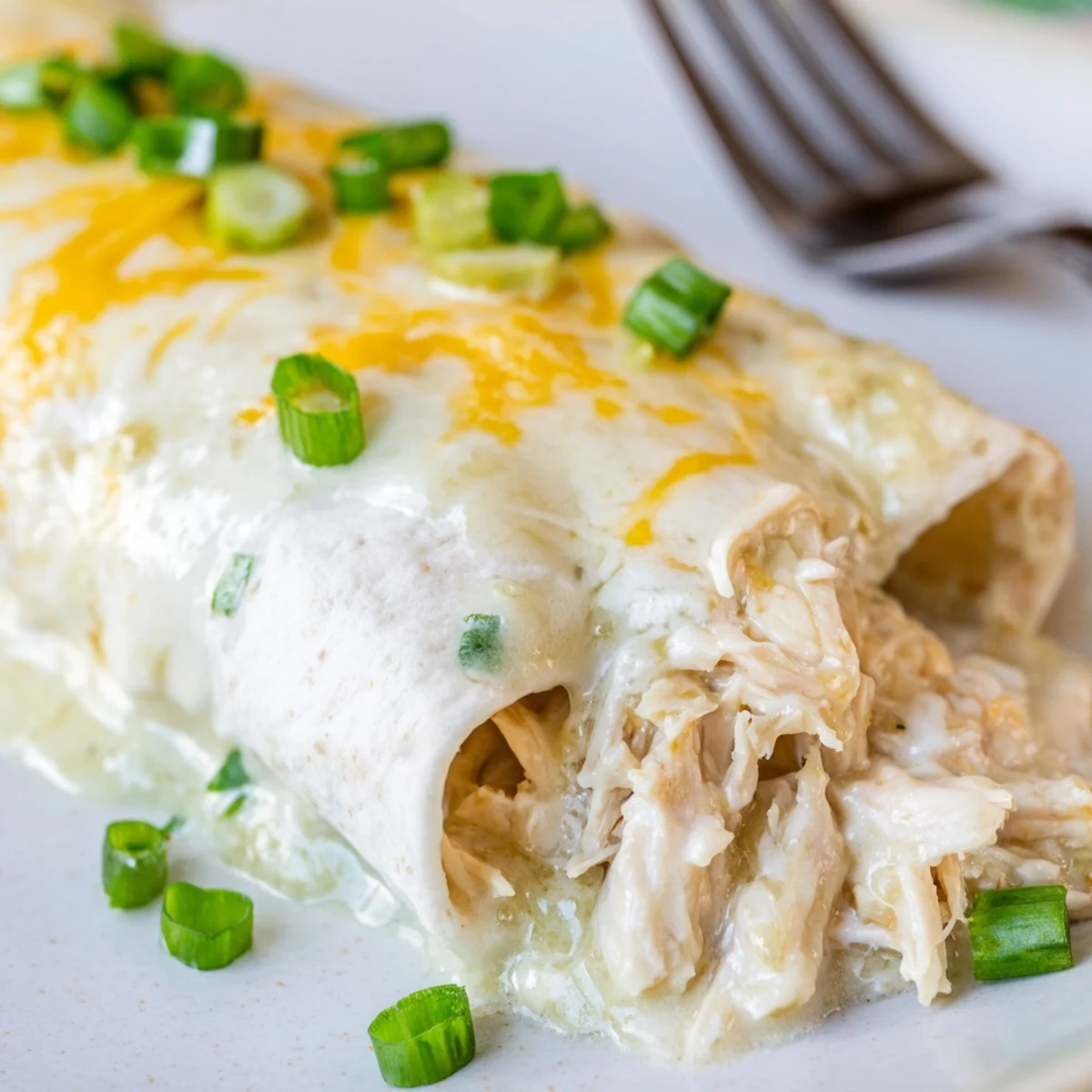 Creamy White Chicken Enchiladas bubbling golden from oven, velvety white sauce visible.